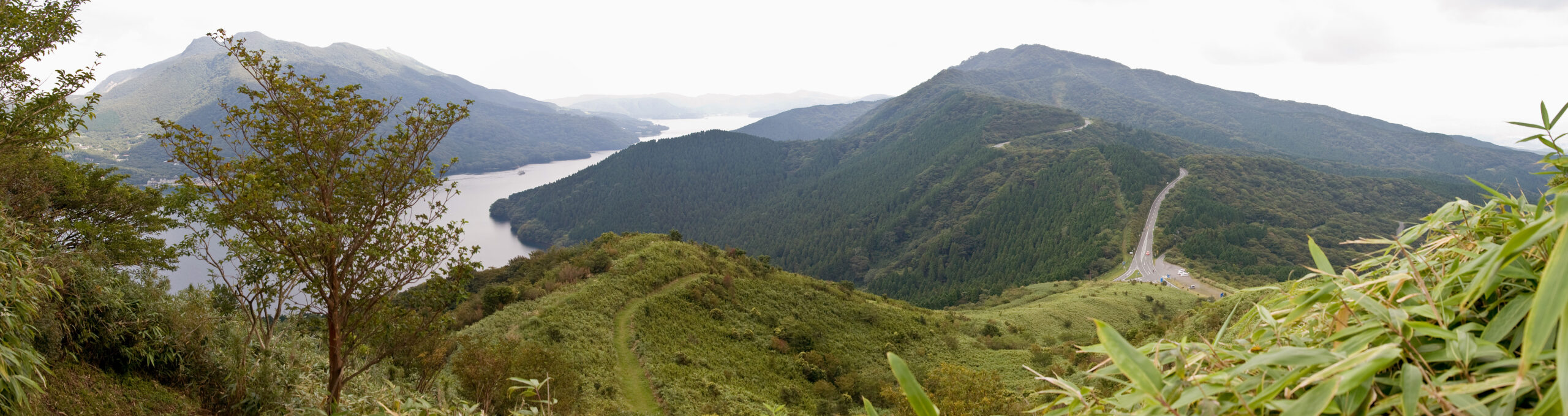 Panoramic view of the Ashinoko Skyline road and Lake Ashi through green mountain scenery