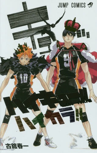 Haikyu!! Color Illustrations Haikara Japanese book cover — CDJapan affiliate product image