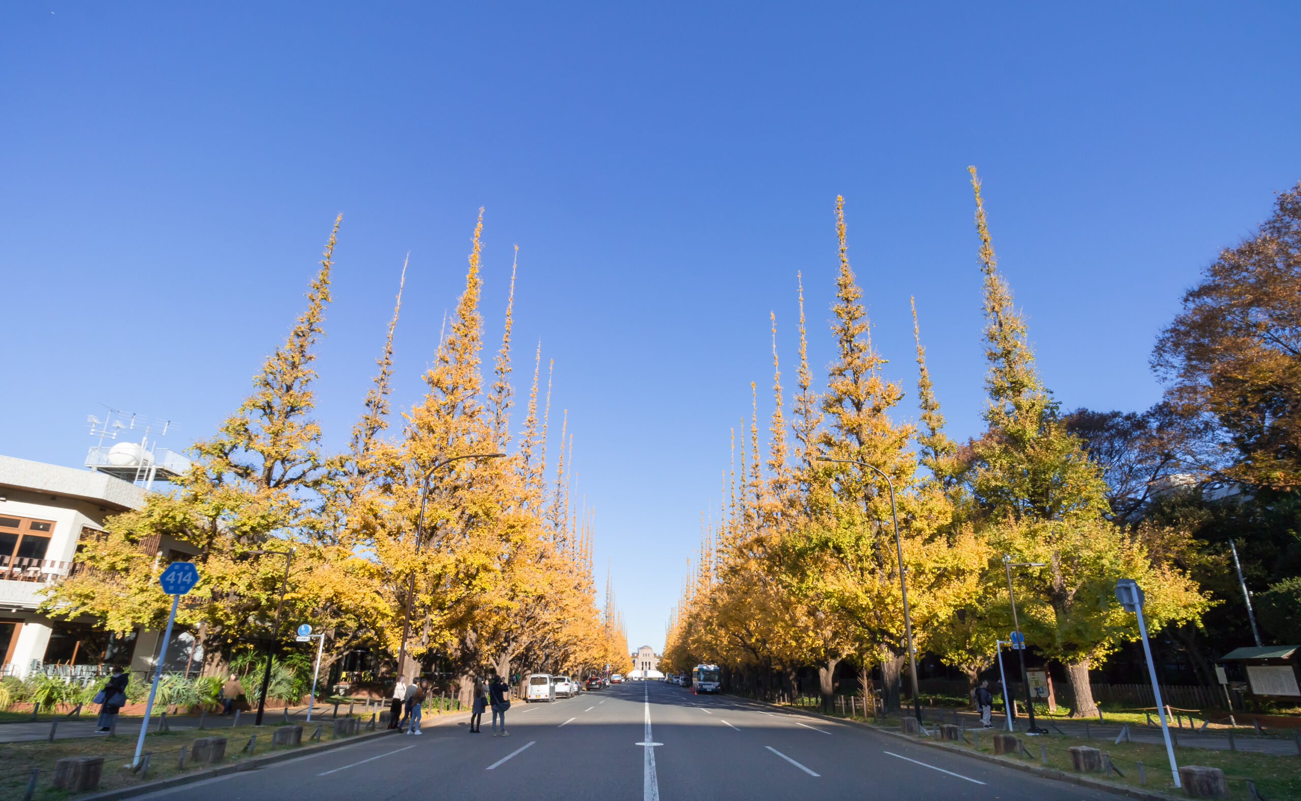 Golden ginkgo avenue at Meiji Jingu Gaien in autumn