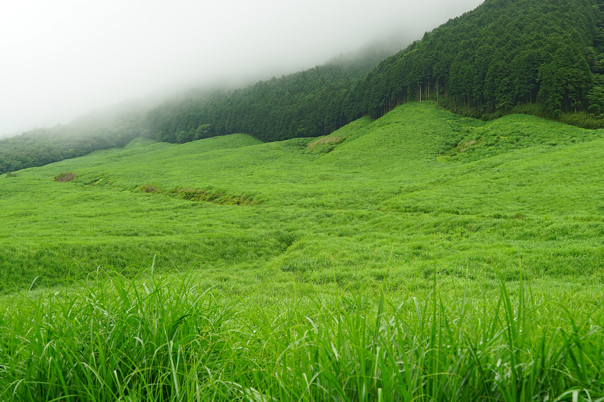Open landscape and mountains around Sengokuhara in Hakone