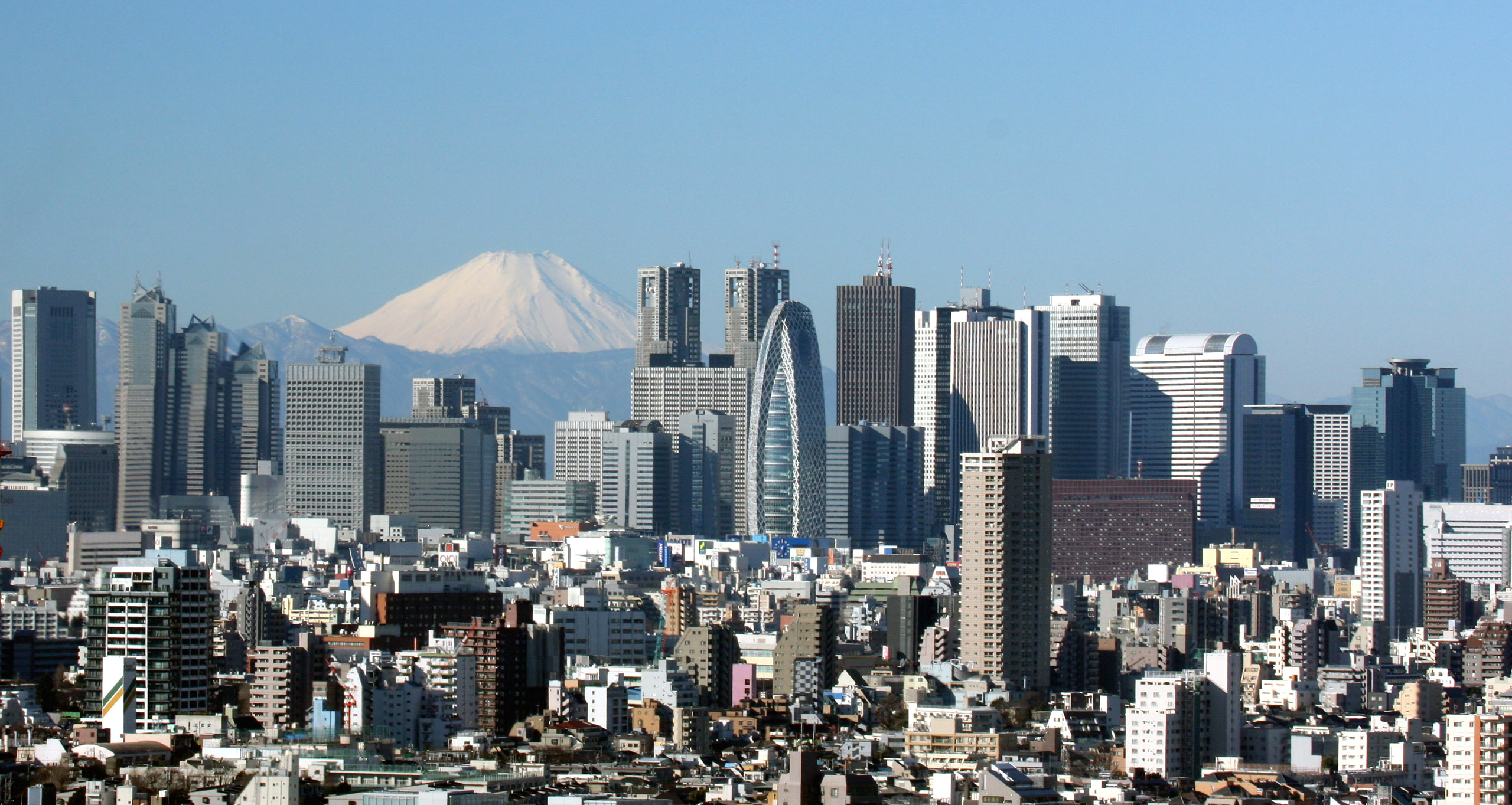 Shinjuku skyline and Mount Fuji