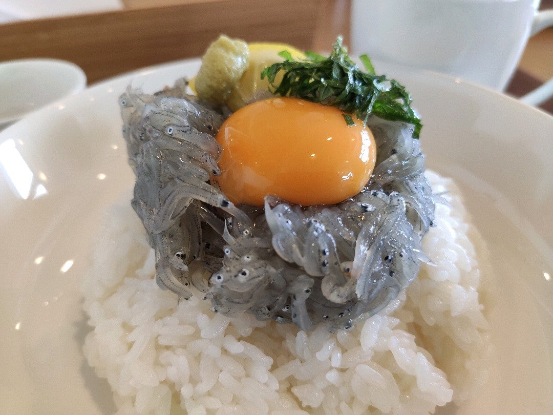 A raw shirasu rice bowl served at a cafe on Awaji Island