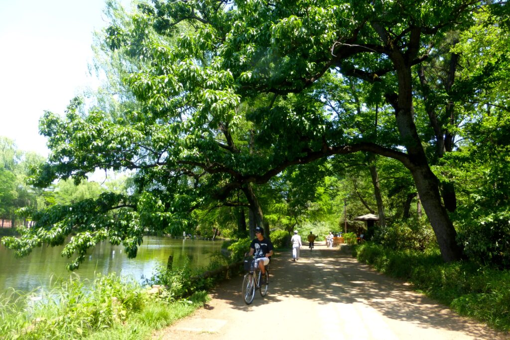 A walking path in Shakujii Park, Nerima, Tokyo